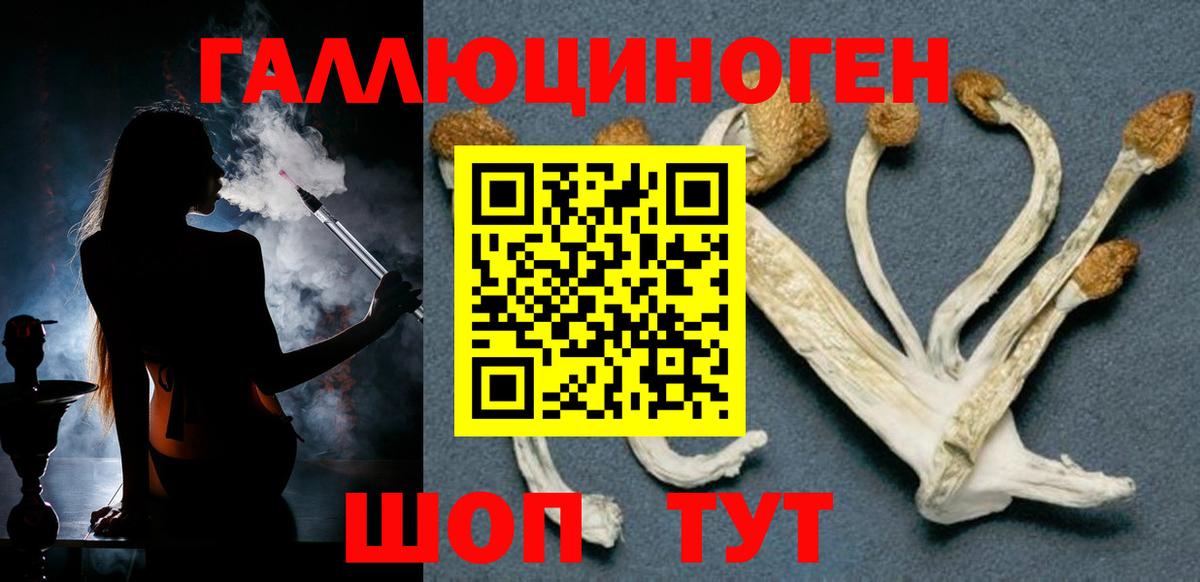 Псилоцибиновые грибы Magic Shrooms  Галлюциногенные грибы Magic Shrooms  Новоалександровск  Вход с VPN 
